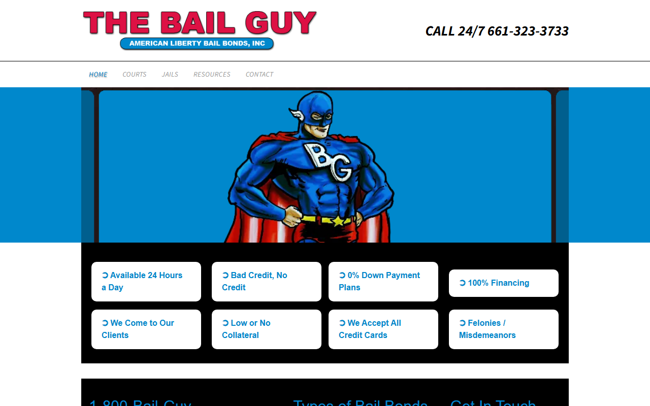 1-800-bailguy.com screenshot