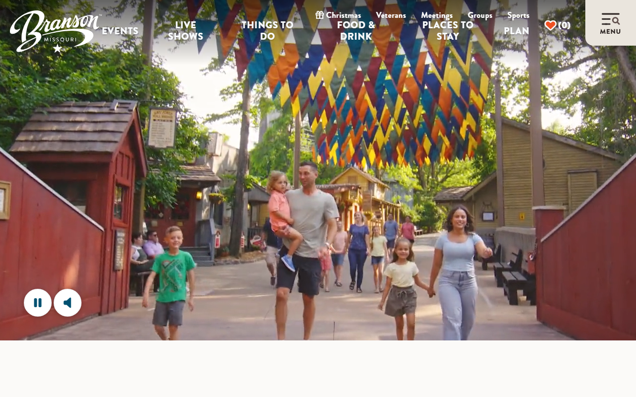 1-800-branson.com screenshot