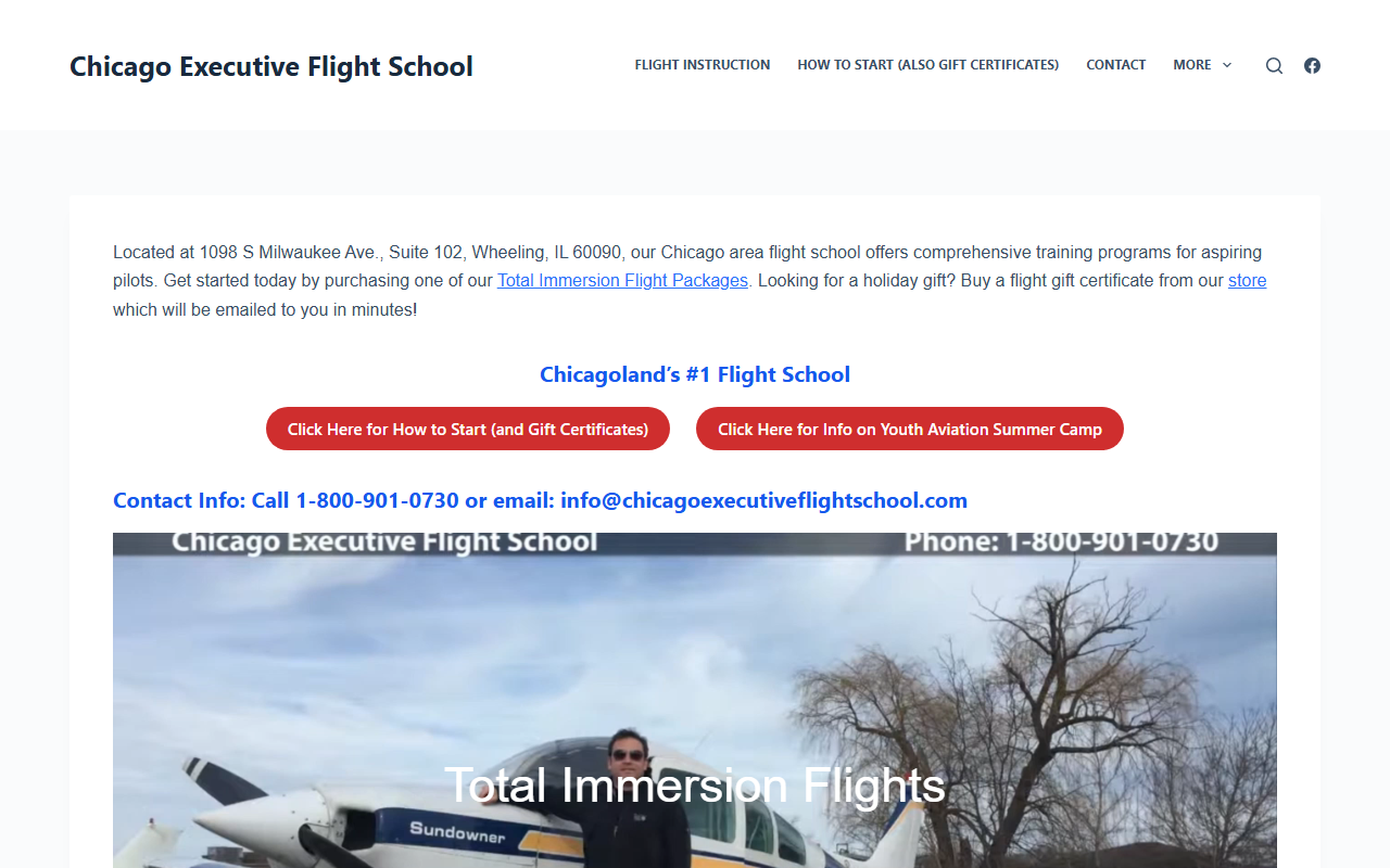 1-800-i-will-fly.com screenshot
