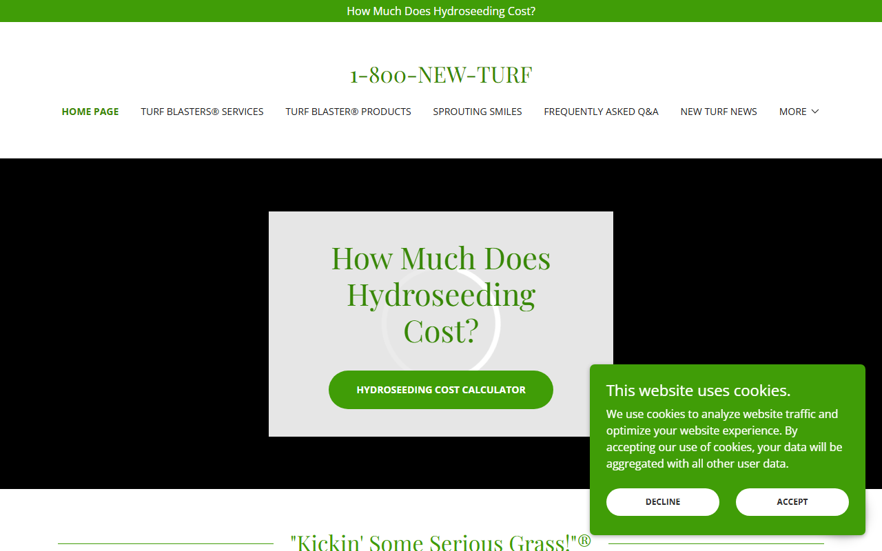 1-800-new-lawn.com screenshot