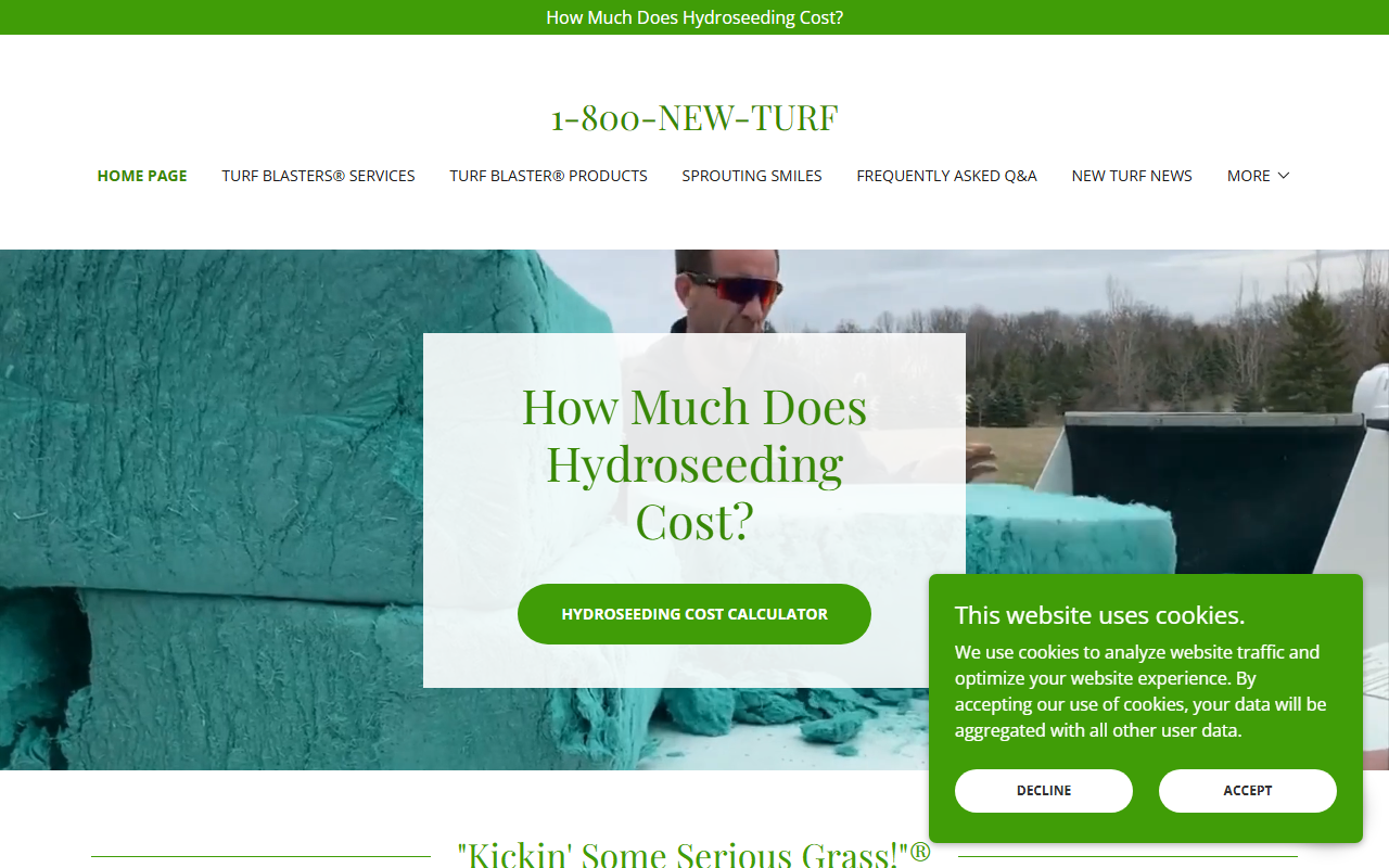 1-800-new-turf.com screenshot