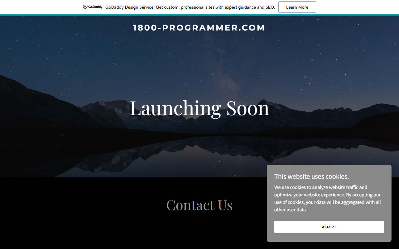 1800-programmer.com screenshot