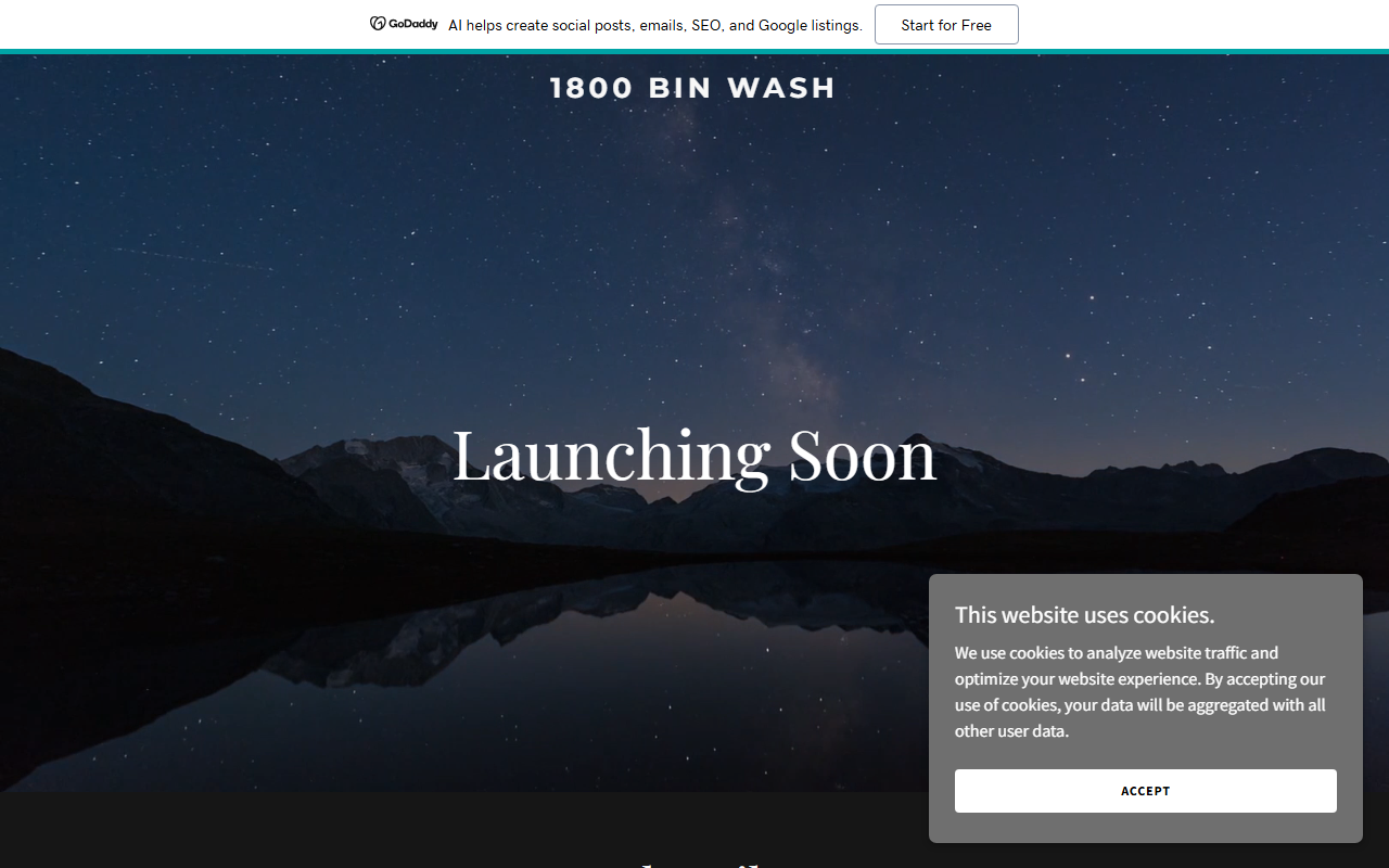 1800binwash.com screenshot