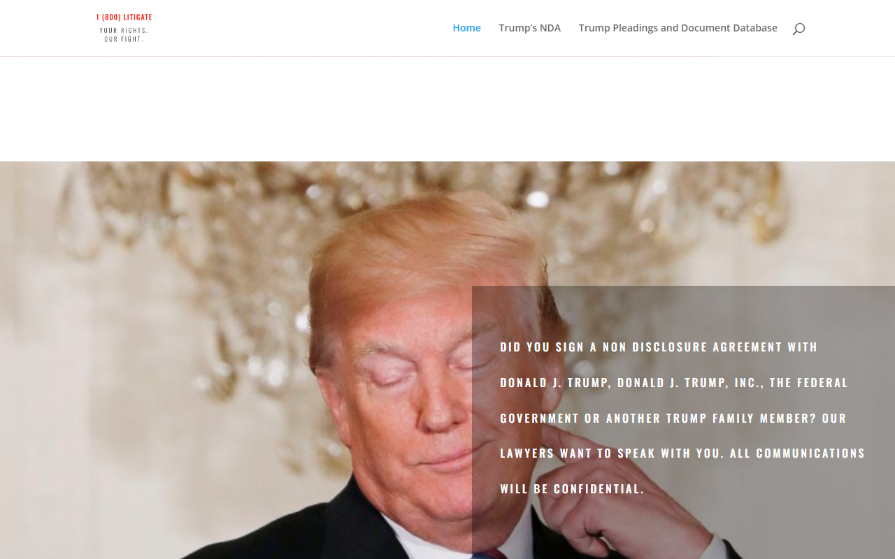 1800litigator.com screenshot