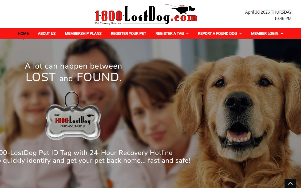 1800lostdog.com screenshot