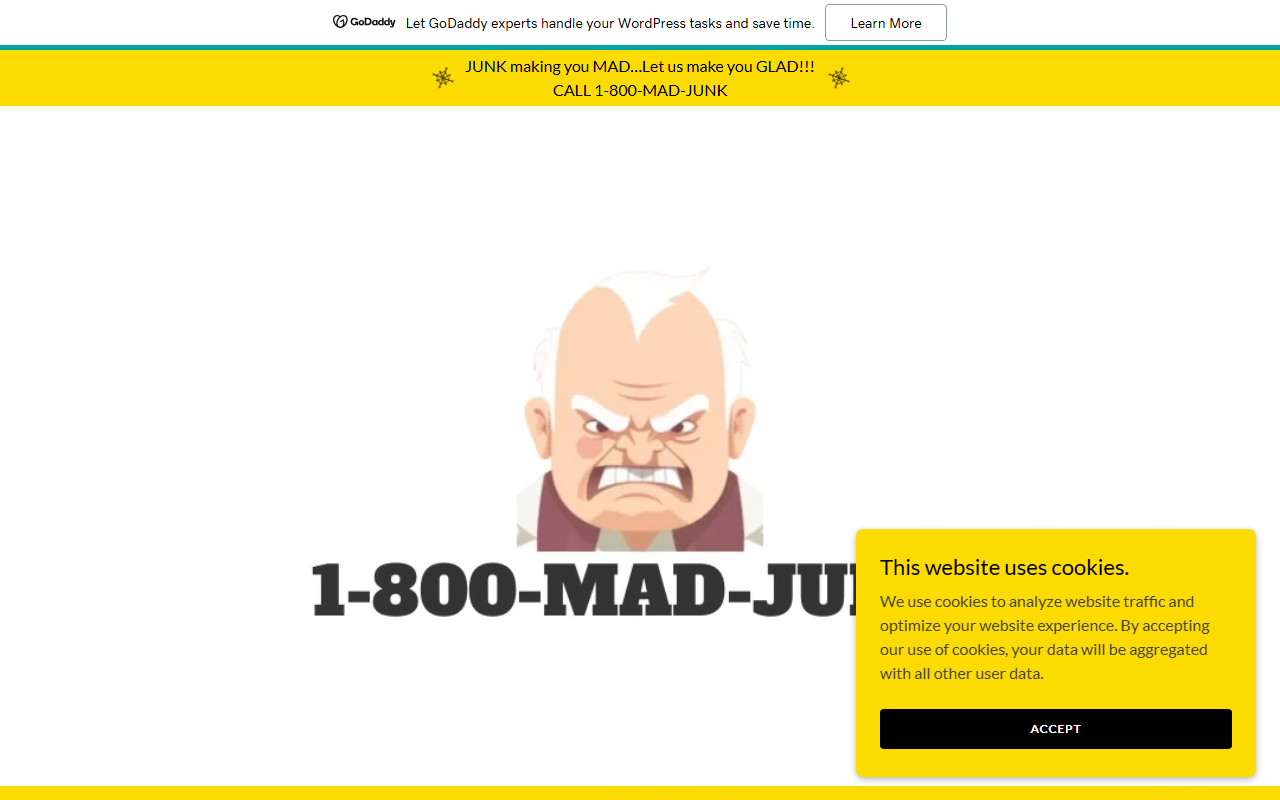 1800madjunk.com screenshot