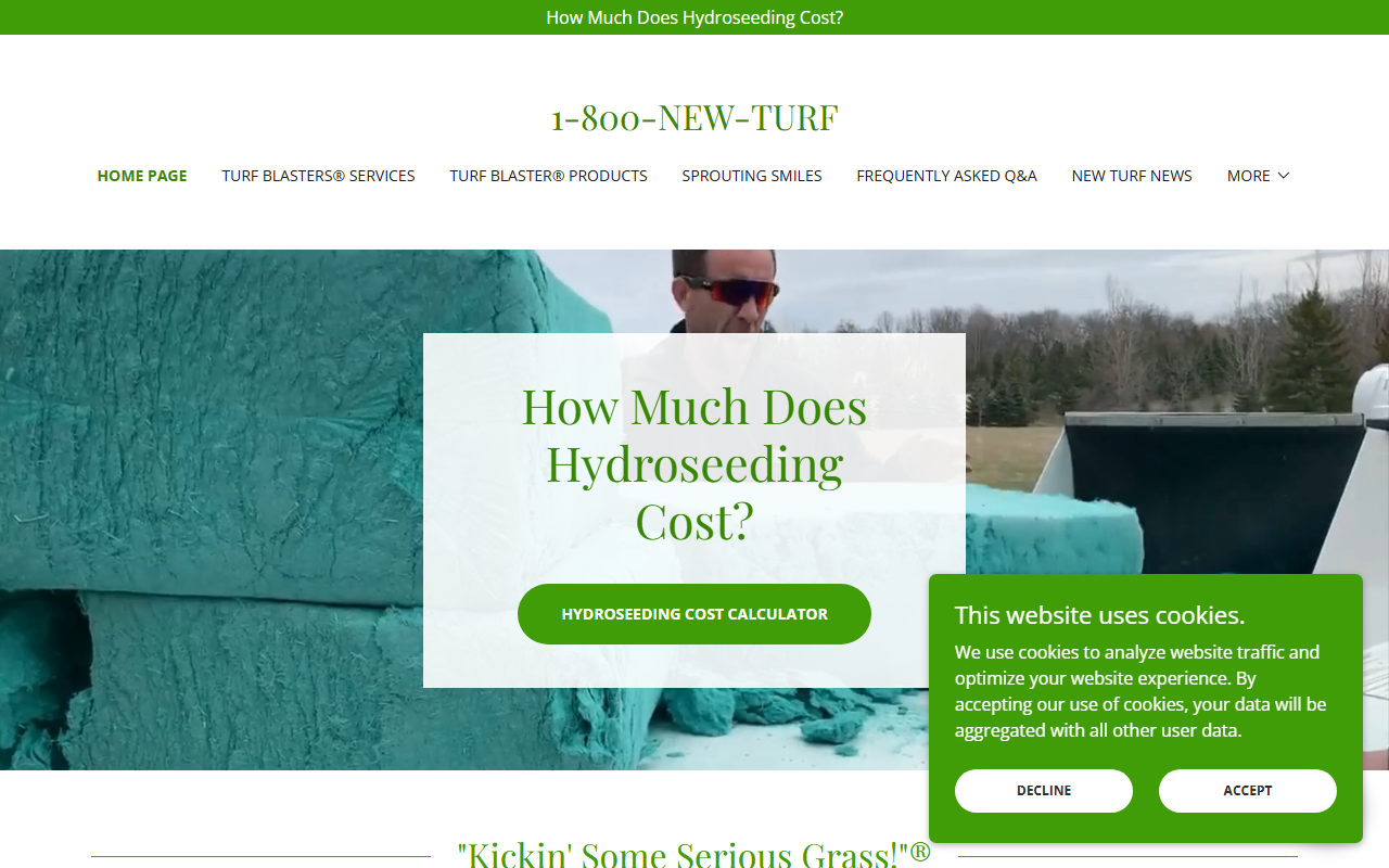 1800newlawn.com screenshot
