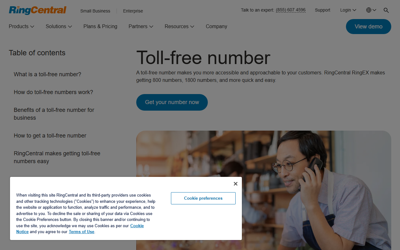 1800ringcentral.com screenshot