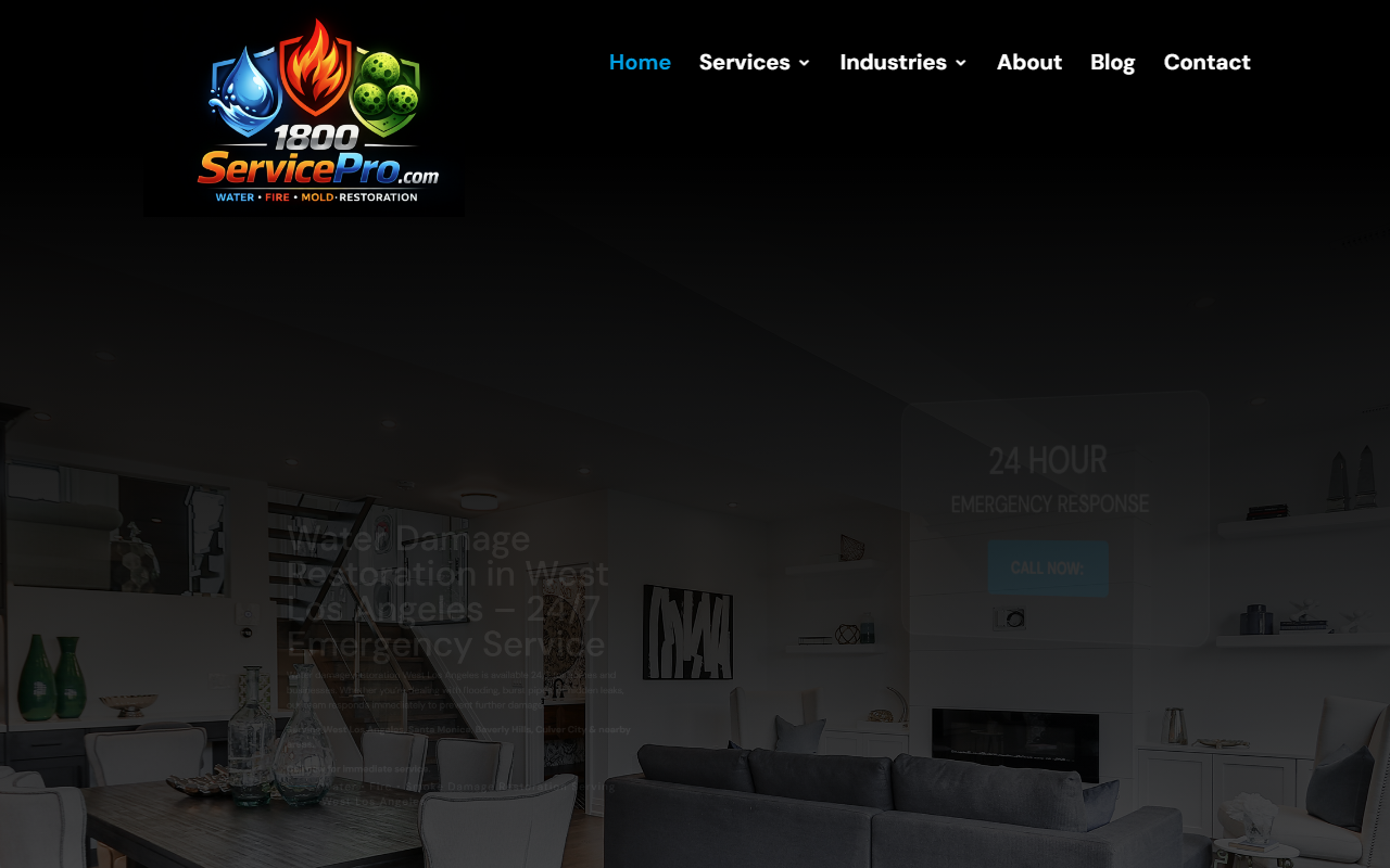 1800servicepro.com screenshot
