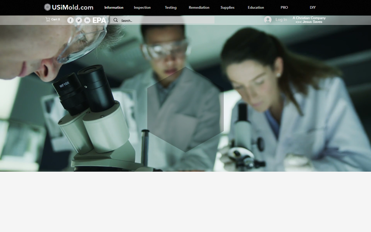 1800usimold.com screenshot