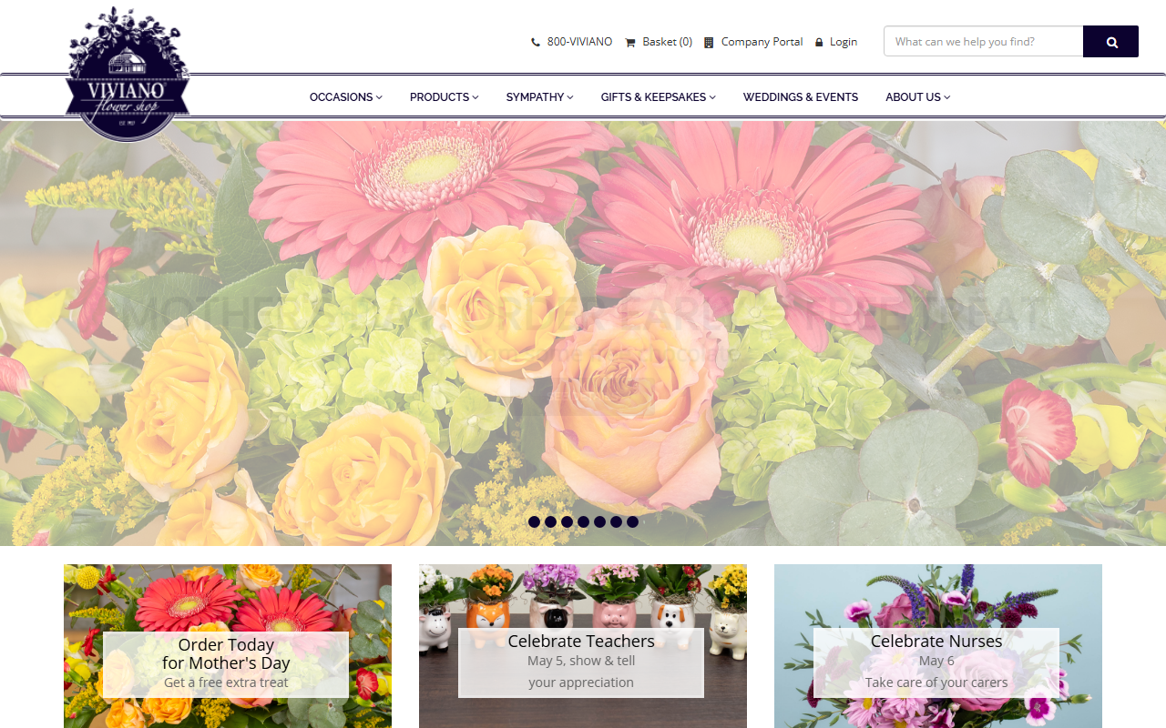 1800viviano.com screenshot