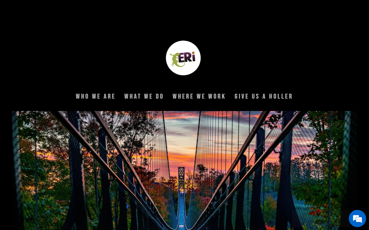 1800zipline.com screenshot