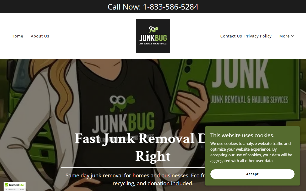 1833junkbug.com screenshot