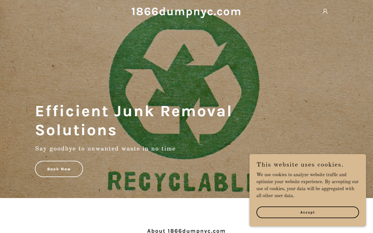 1866dumpnyc.com screenshot