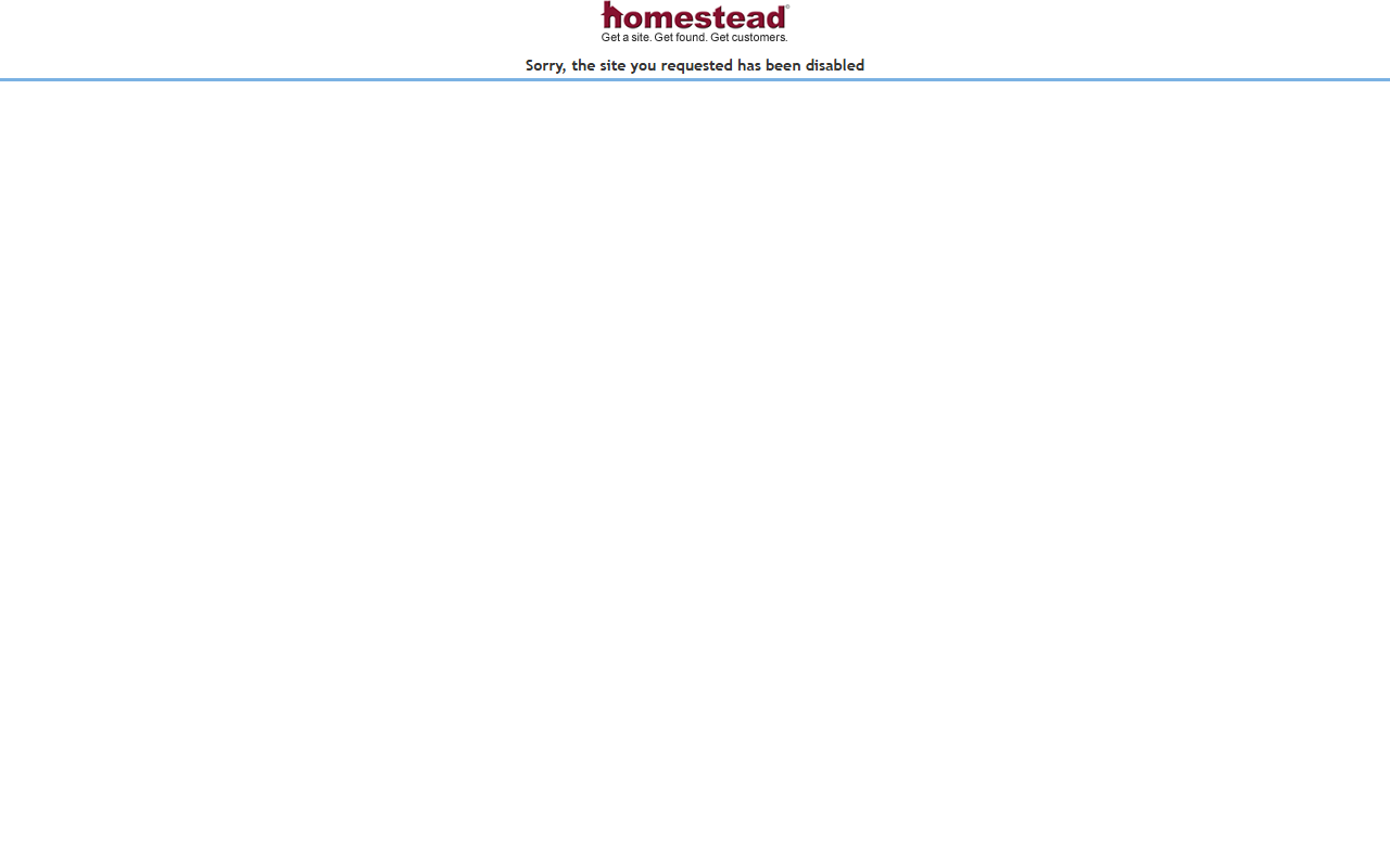 1877daymaid.com screenshot