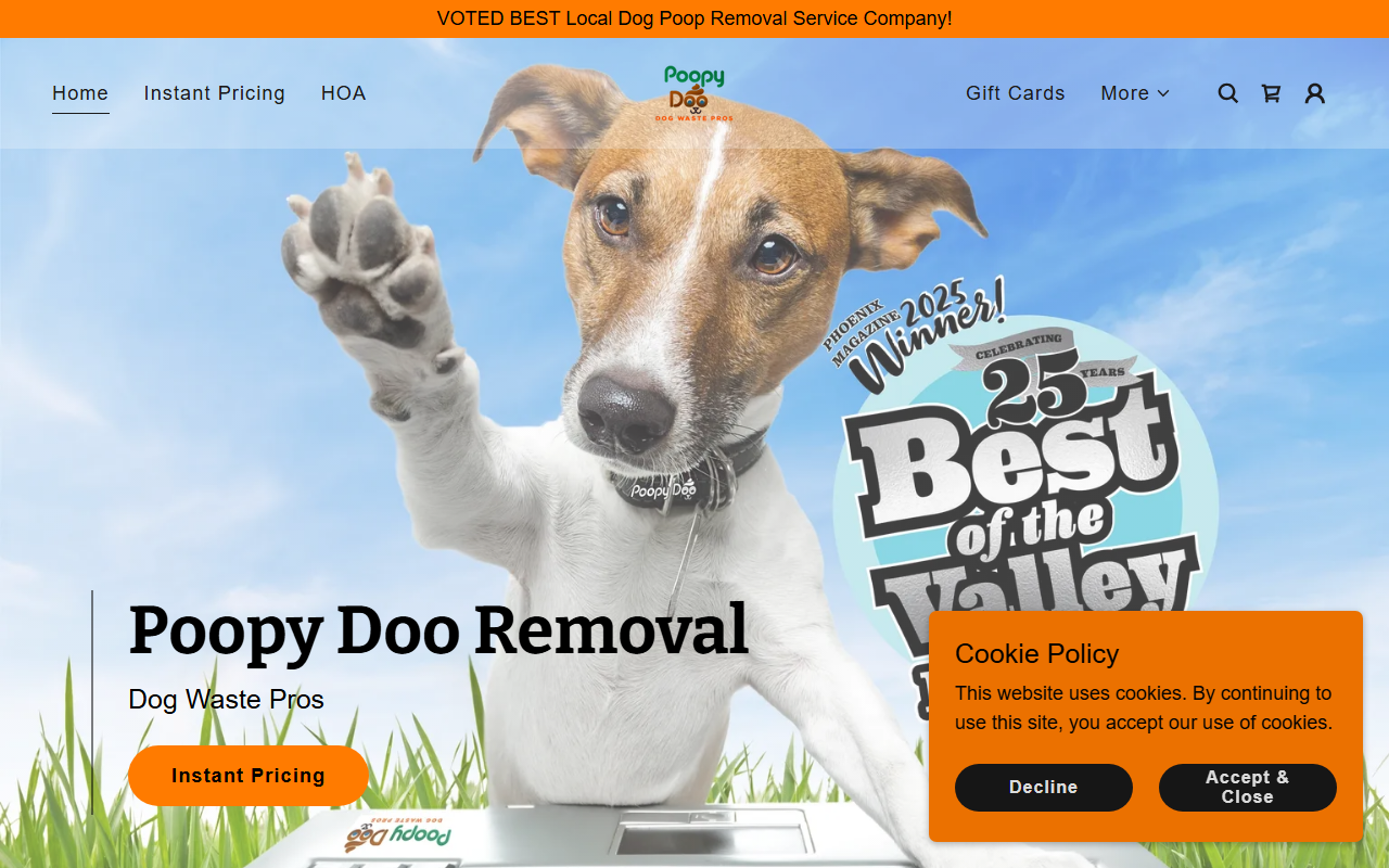 1877poopydo.com screenshot