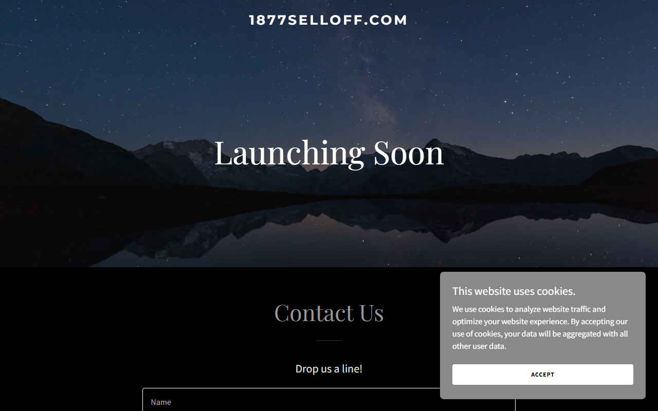 1877selloff.com screenshot