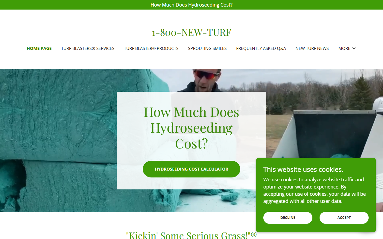800-new-turf.com screenshot