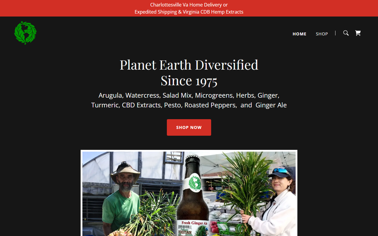 800arugula.com screenshot