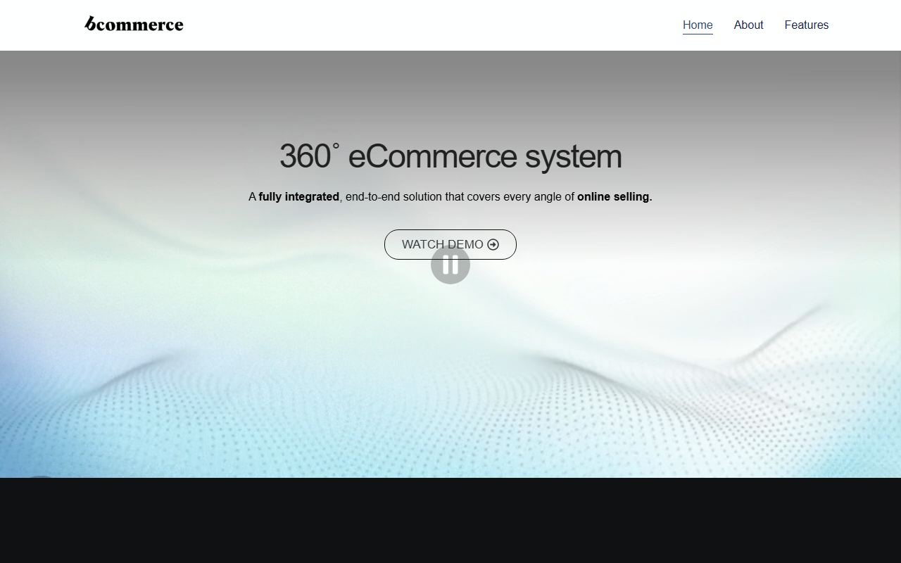 800ecommerce.com screenshot