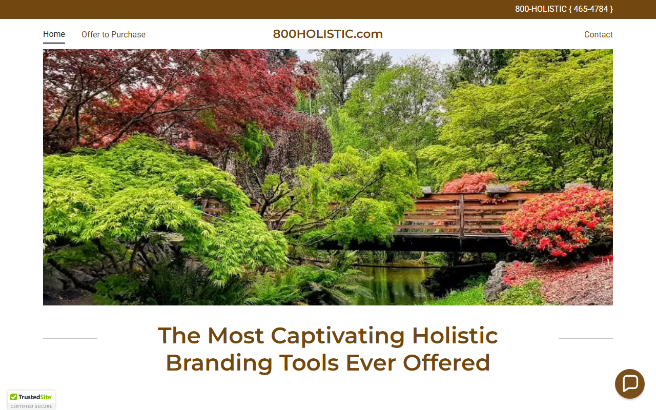 800holistic.com screenshot