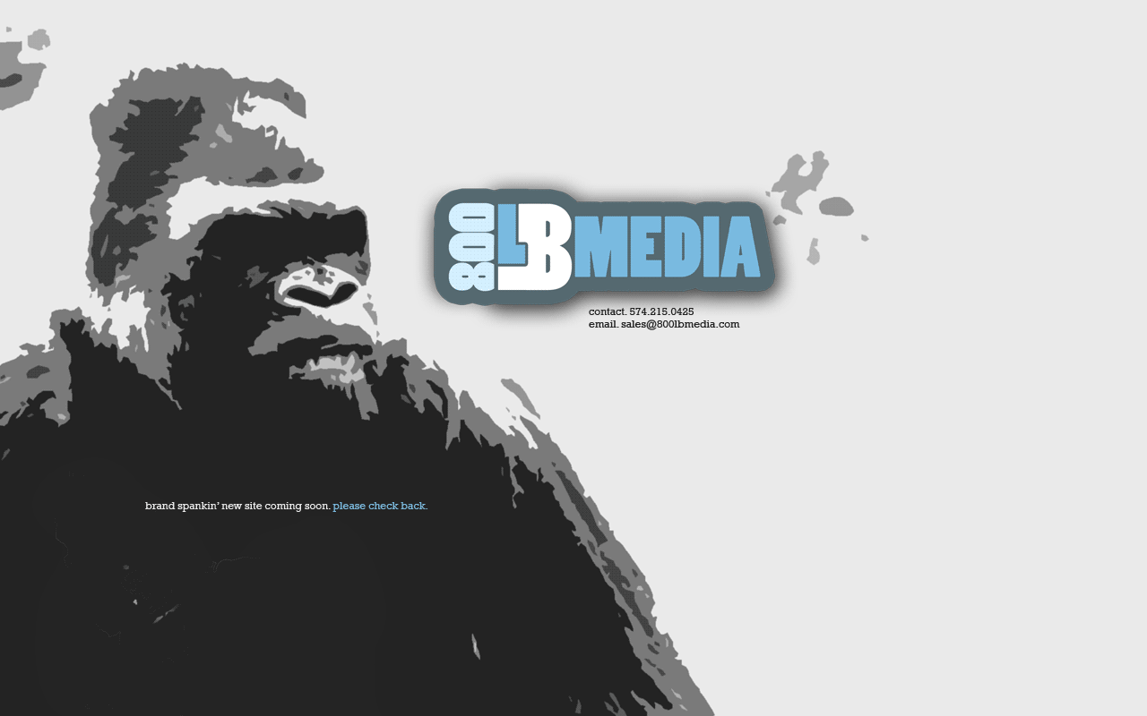 800lbhosting.com screenshot