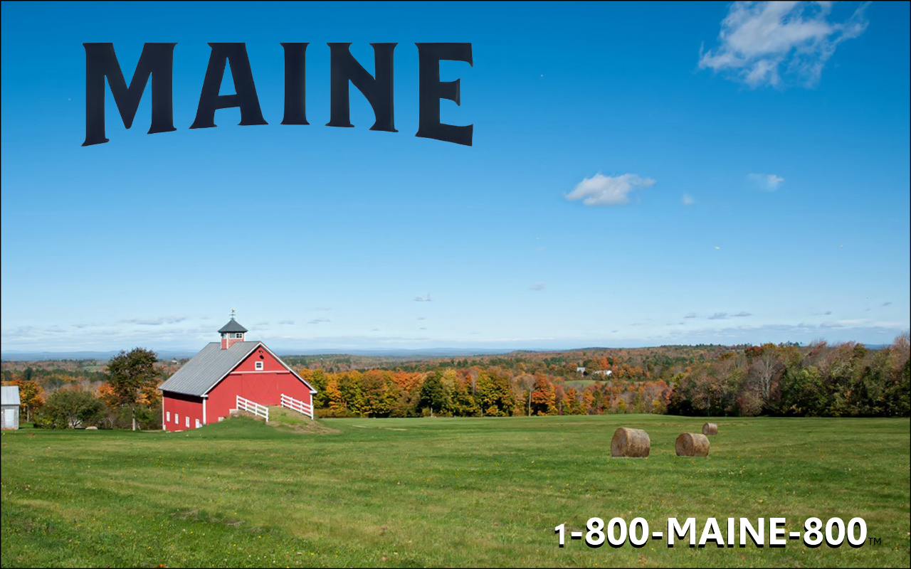 800maine800.com screenshot