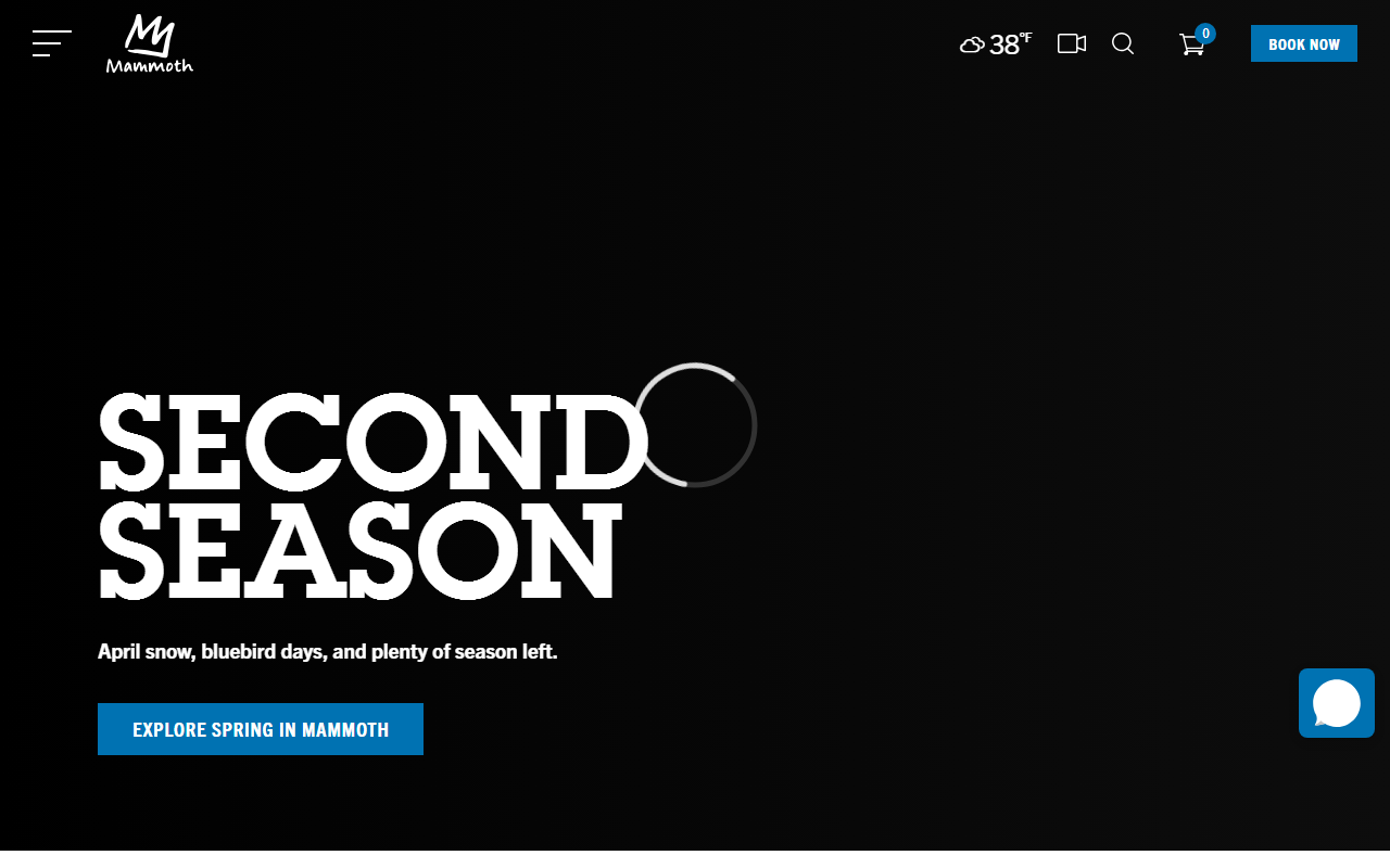 800mammoth.com screenshot