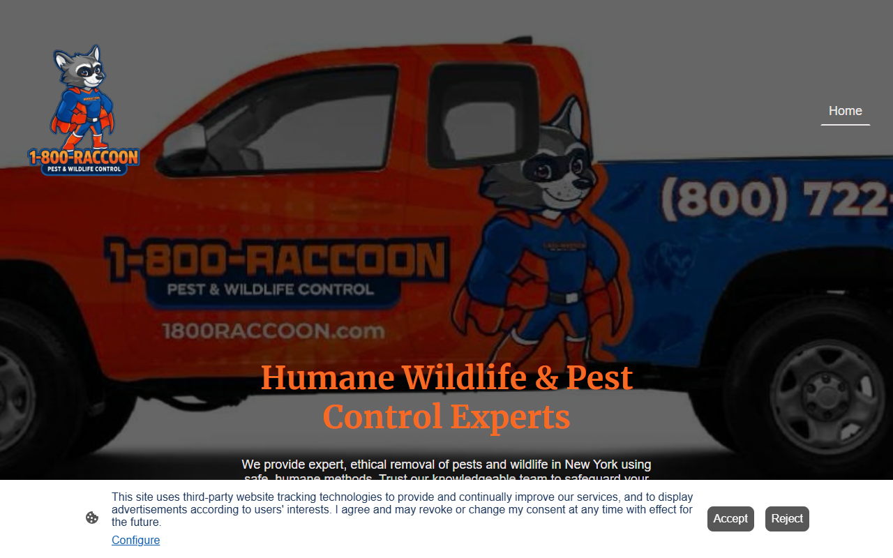 800raccoon.com screenshot