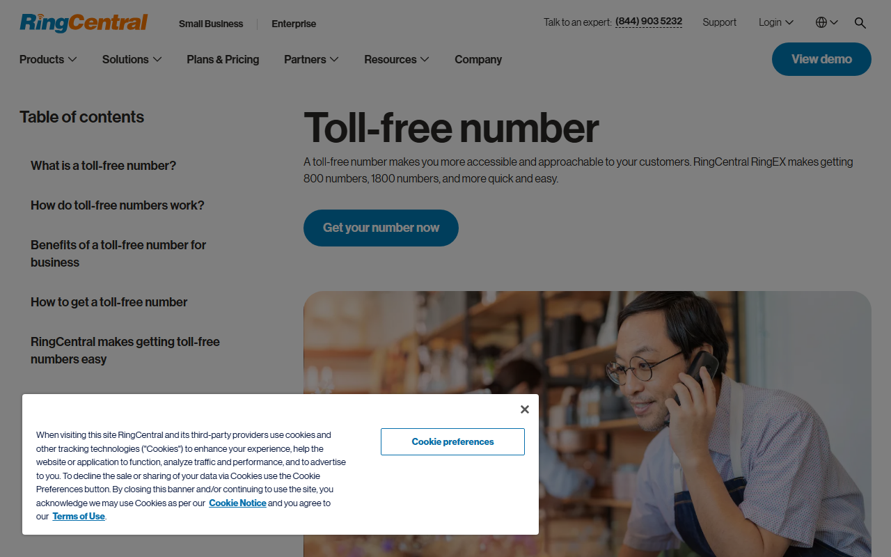 800ringcentral.com screenshot