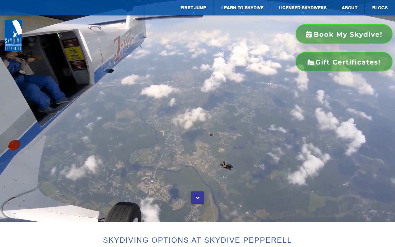 800skyjump.com screenshot