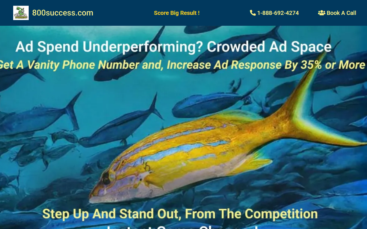 800success.com screenshot