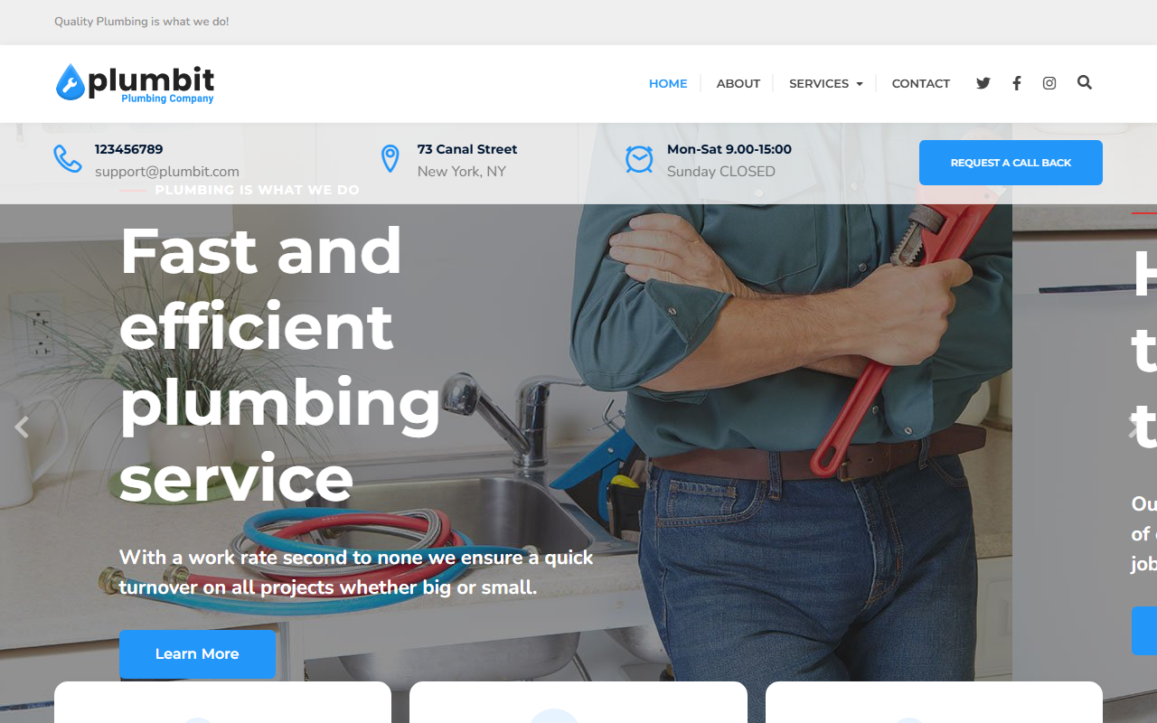 833nycplumber.com screenshot
