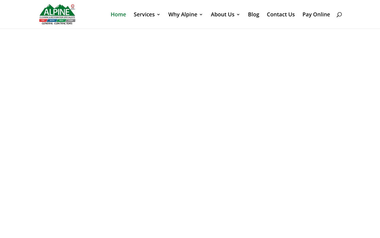 8554alpine.com screenshot