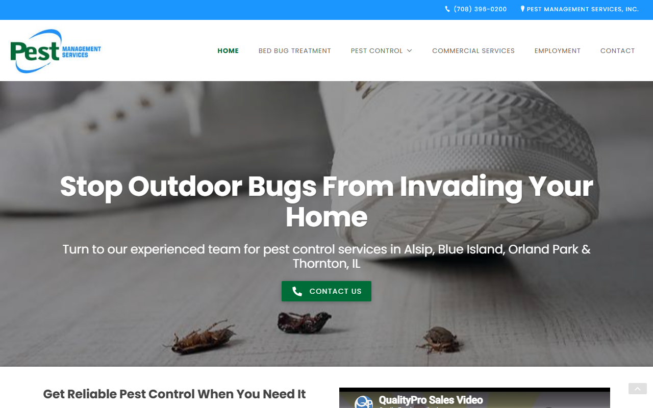 855855bugs.com screenshot