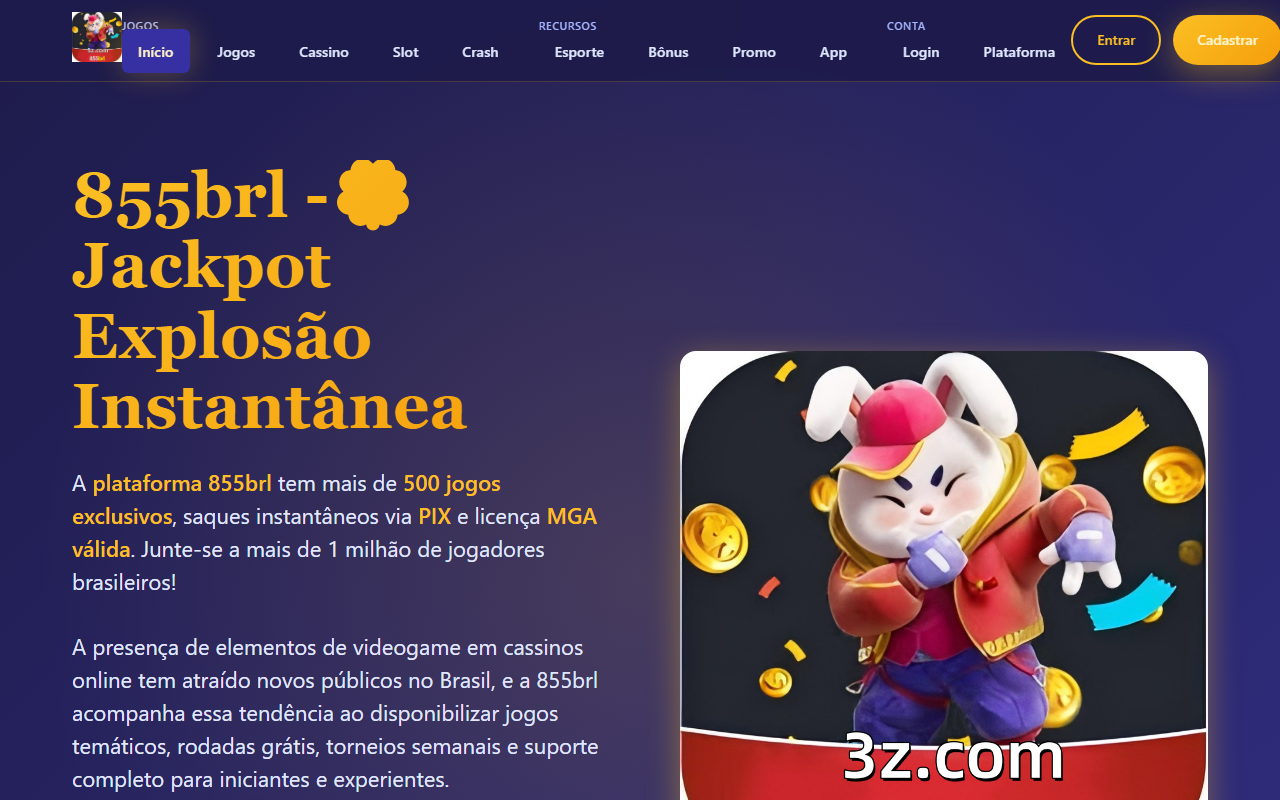 855brlnavi.com screenshot