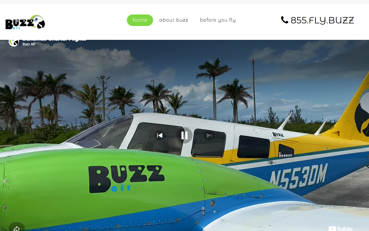 855flybuzz.com screenshot