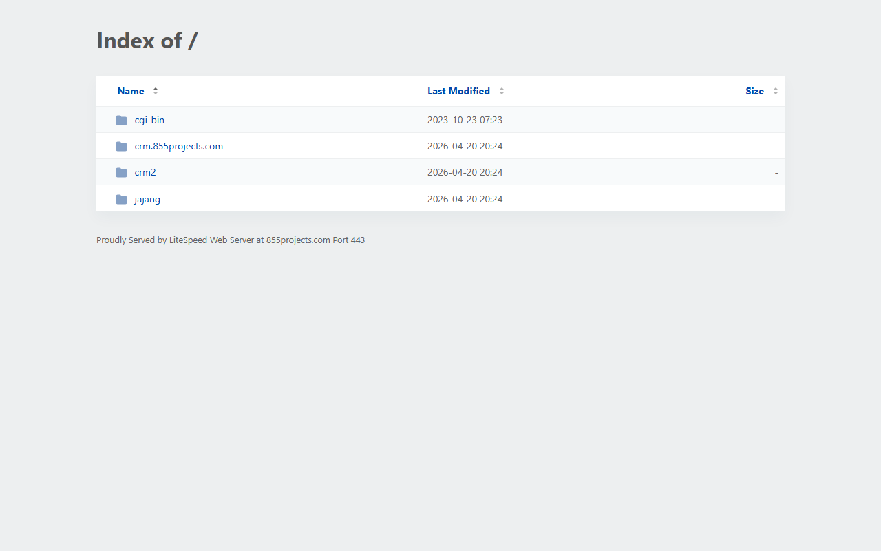855projects.com screenshot