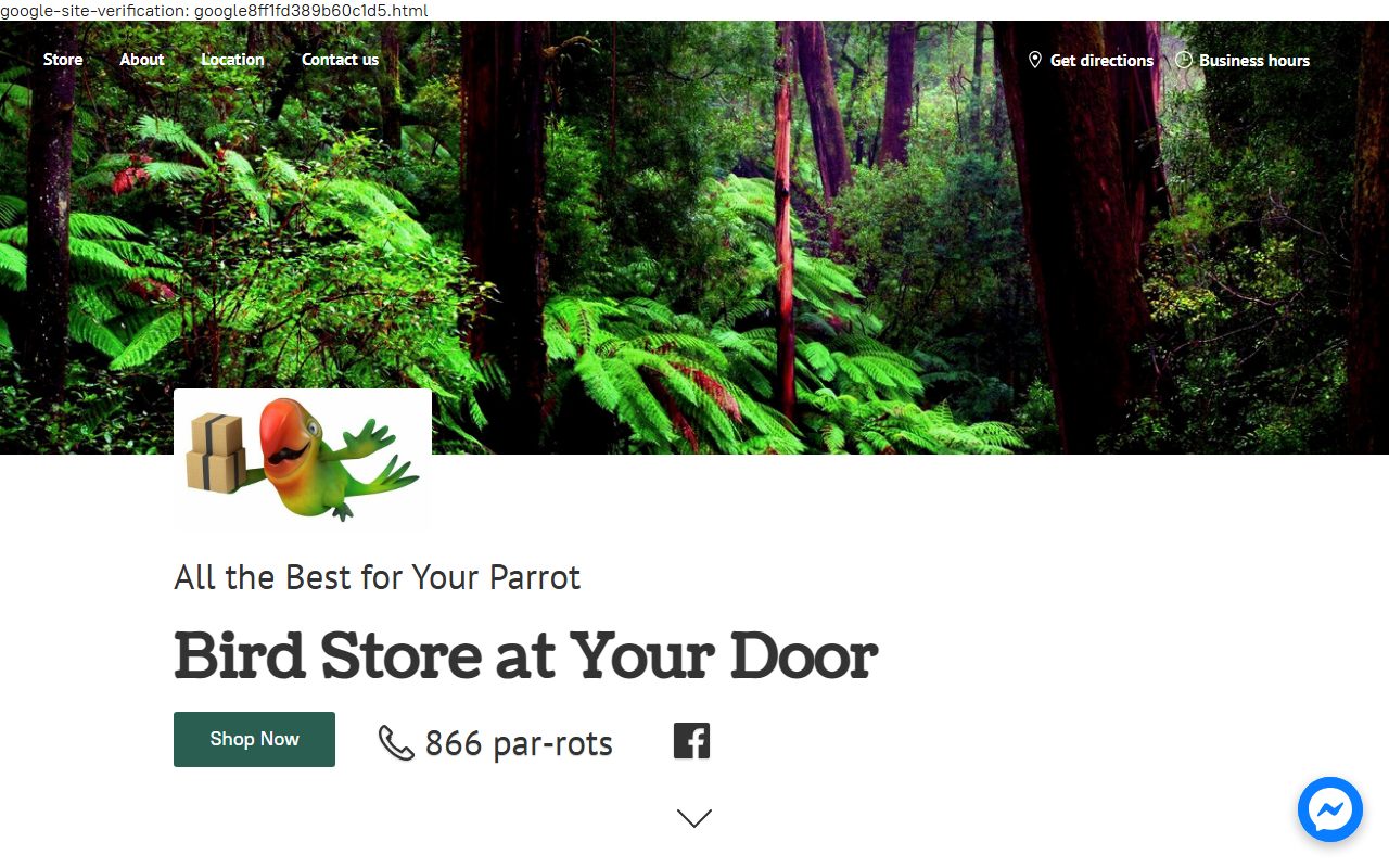 866parrots.com screenshot