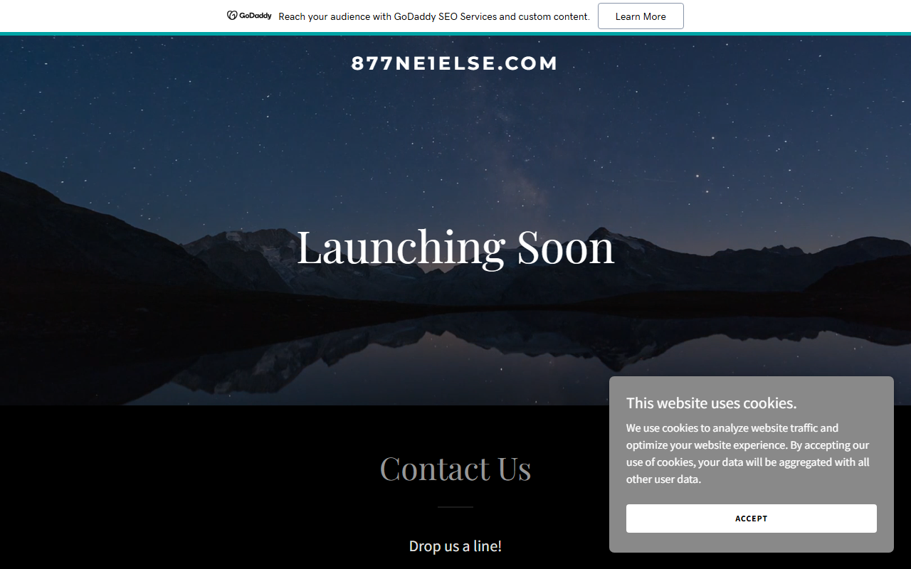 877ne1else.com screenshot