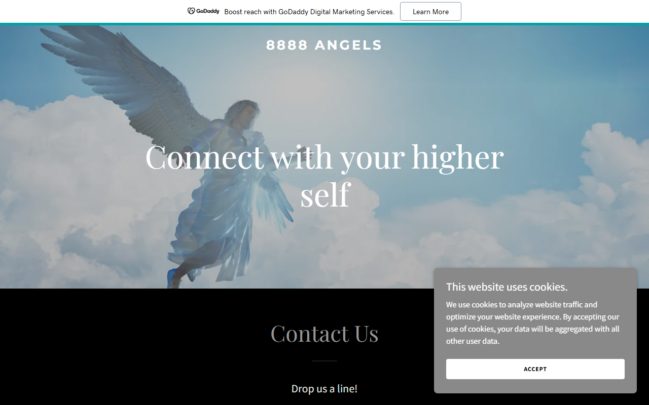 8888angels.com screenshot