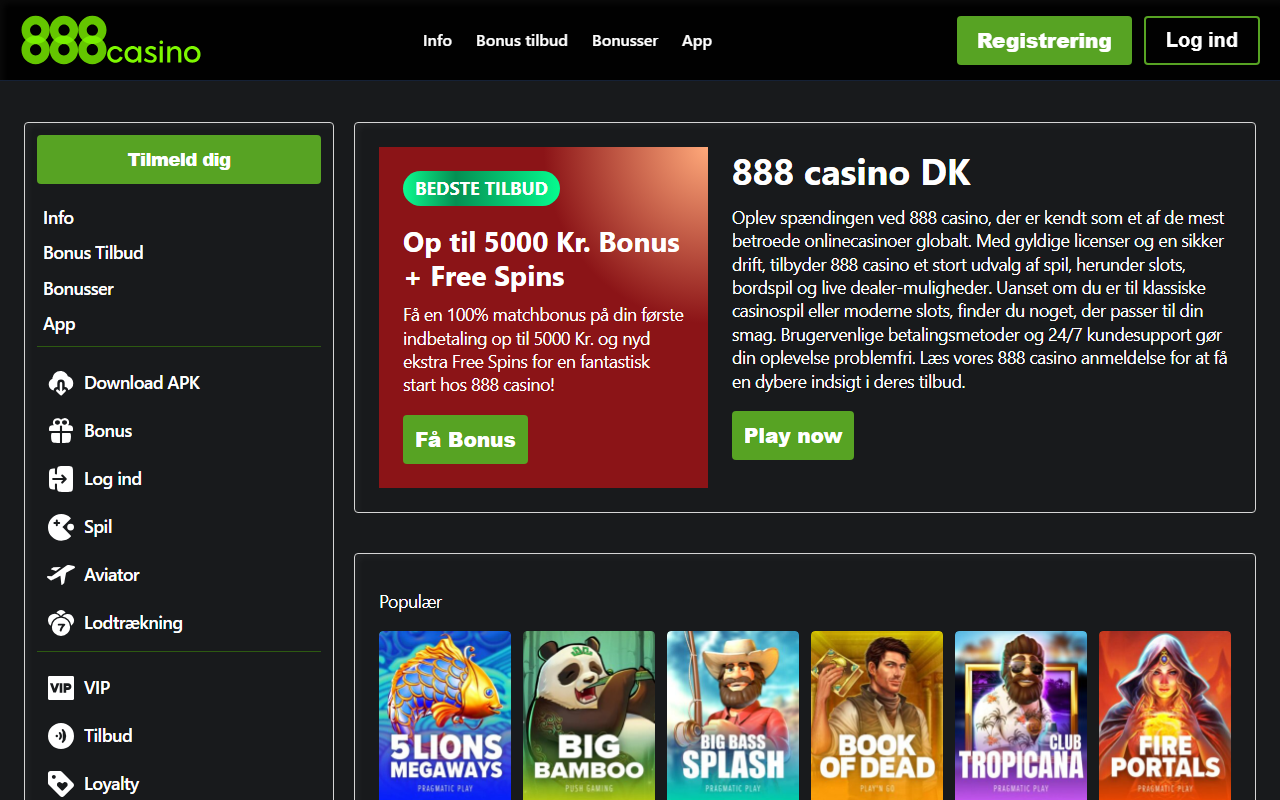 888casinodk.com screenshot
