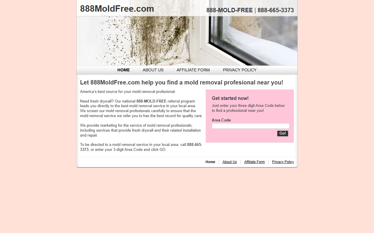 888moldfree.com screenshot